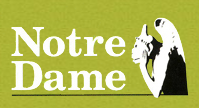Antiek Notre Dame